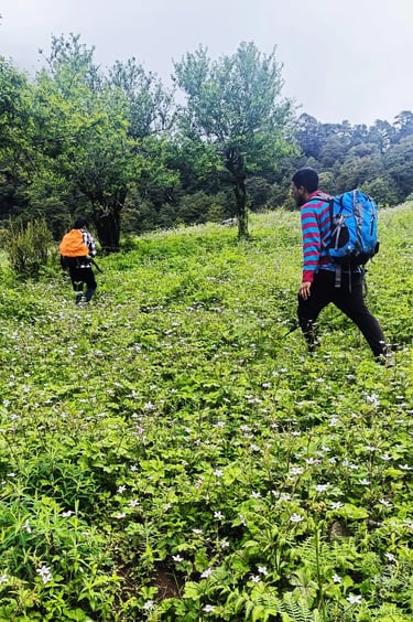 Trekkers walking through a meadow of white wildflowers