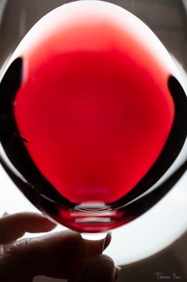 Gros plan d’un verre de vin rouge avec une main qui tient le verre