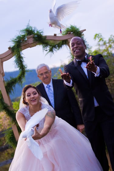 Bride and Groom releasing doves. Countryside Wedding at The Comus Inn in Dickerson, MD