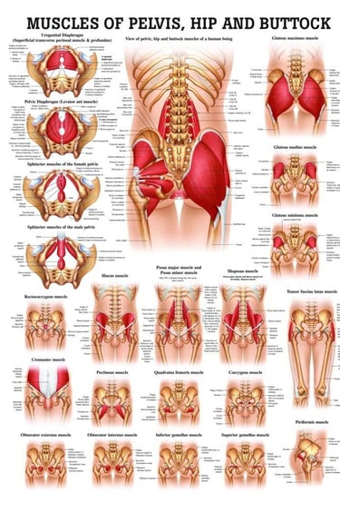Vetrivel Health center best chiropractic and varamam theraphy 