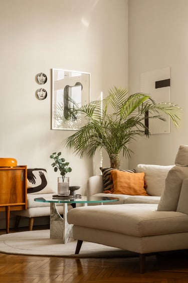 Jasny salon w kamienicy, beżowa sofa i duża palma.