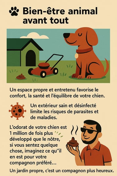Infographie bien-être animal – jardin propre favorisant le confort et la santé du chien