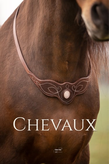 cordelette en cuir cheval sellerie etter geneve 