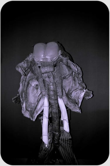 David Noir | Défense du masque Ulin