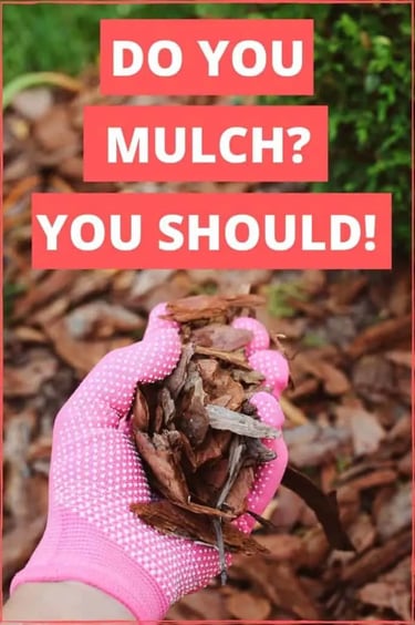 Mulch