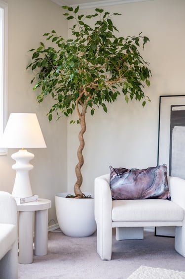 Wellington reno Living room - Peaky Builders