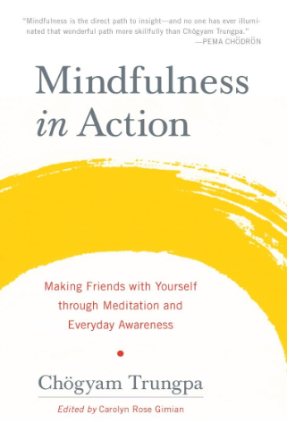 Mindfulness in Action by Chögyam Trungpa.