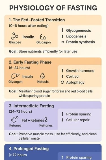 🌙✨ When hunger becomes healing — discover how fasting transforms metabolism, awakens cellular intel
