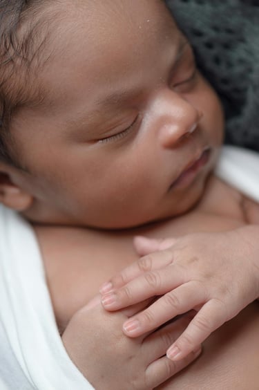 aprendeblog el bebe