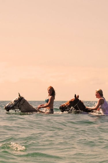 swimming with horse