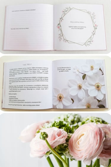 Unutrašnjost dnevnika 2