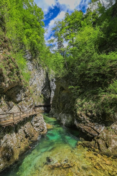 slovenia private driver ljubljana tours, vintgar gorge