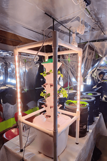 Indoor Tower Hydoponic System