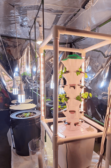 Indooor Tower Hydroponic System