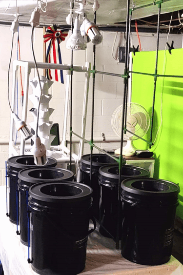 Kratky Hydroponic System