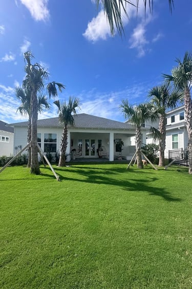 Modern coastal home with a green lawn, palm trees, and a covered back patio under a blue sky.