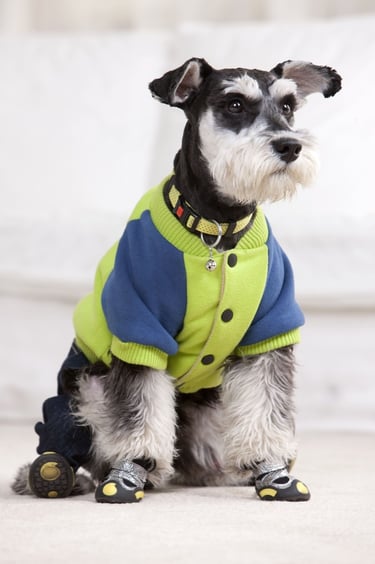 SNAWSER CON CHALECO VERDE Y AZUL