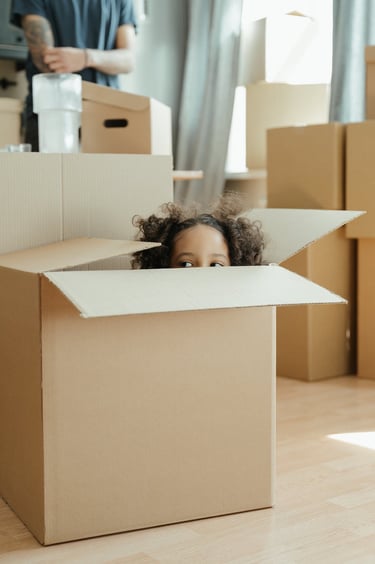 Box my Box Soignies, stockage pas cher, cartons de stockages