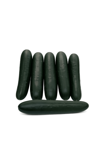 Pepino