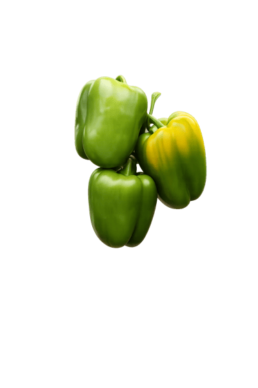 Pimiento