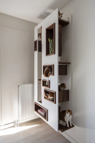 Pet-friendly outdoor living space with comfortable furniture, cozy atmosphere and stylish Scandinavian-inspired design.