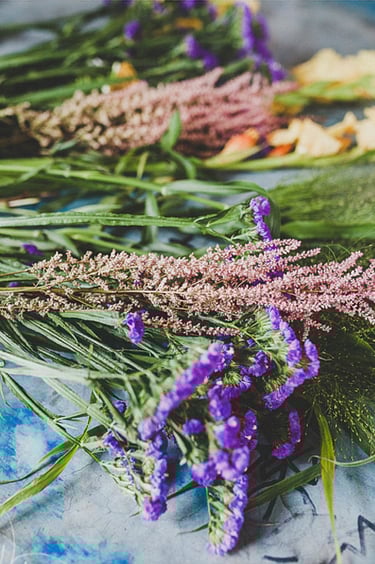 Nahaufnahme von Blumen, die auf einem Tisch liegen.