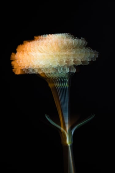 Photosynthetische Skulpturen 2022 NR1