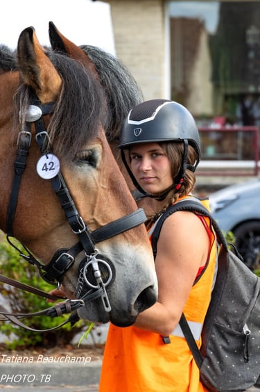 Route des chevaux de trait en Suisse normande