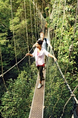 3 Days 2 Nights Kuala Tahan National Park Tour & Travel Packages