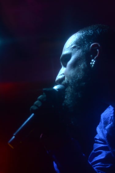 Cabaret Astral_Capricornio_Dan Proven