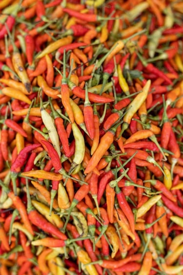 Des piments, détectées par sensations trigéminales