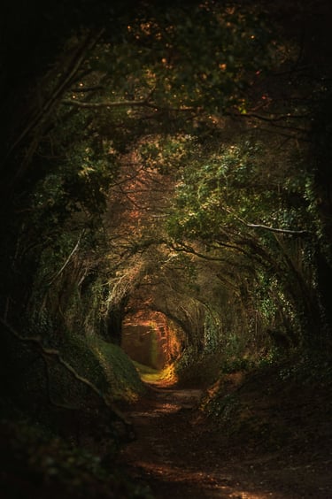 Waldtunnel