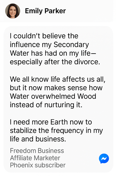 DM screenshot of Wood + Water Archetype – Visionary entrepreneur celebrates discovering her strategic dual archetype