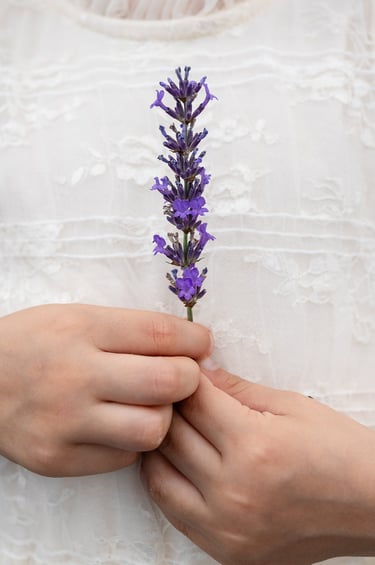 a little girl in a white dress and holding a stem of lavender