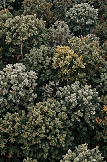 A wide-angle landscape photograph of a North American / US forest during autumn, featuring muted olive and sage green foliage. The lighting is soft and ethereal, capturing the natural world with a clean and sophisticated aesthetic. No people present.
