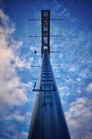 7º Clasificado Color Febrero