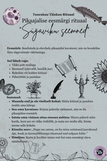 Tuurakuu Rituaal Pikaajalise eesmärgi rituaal Soul Sisters Tarot