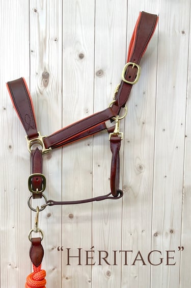 licol en cuir Héritage sellerie etter luxe artisanat sellier Genève suisse