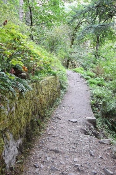 Columbia River Gorge - The narrow trail to Horsetail & ponytail Falls