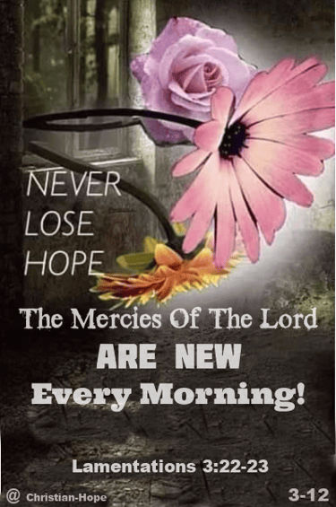 Never Lose Hope