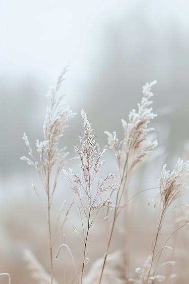 A calm, softly lit natural scene representing reassurance and the feeling that nothing is wrong duri