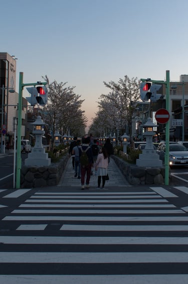 "The Crossing" - Kamakura, Japan