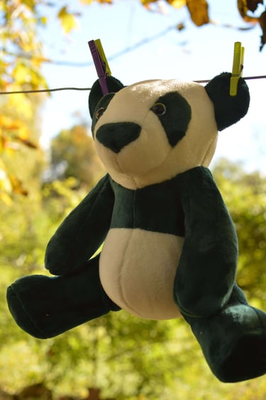 Secher peluche air libre