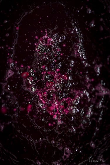 Gouttes vin lors du presssage en cuverie ©Eléonore Parc, photographie d'art