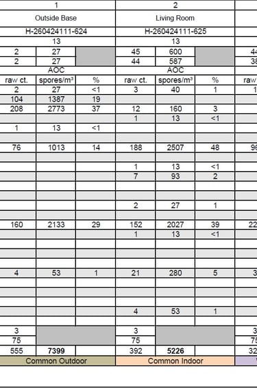 A laboratory air quality report showing spore counts for mold species like Penicillium and Aspergillus.
