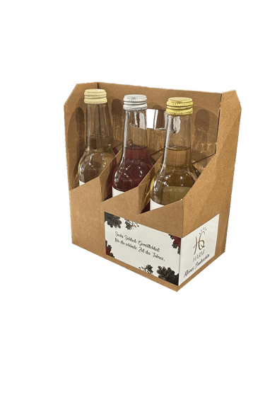 Harms 6er Tragerl mit Getränke (Saft & Most) als Weihnachtsgeschenk