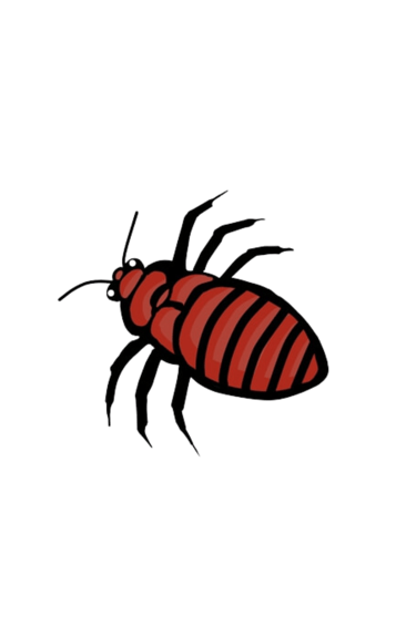 animated bed bug facing left