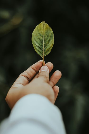 VANT Engenharia oferece soluções ambientais e segurança do trabalho com atuação nacional.