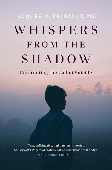 book cover with a person looking to the distance at dusk