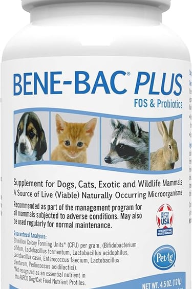 Hot Cross Buns' Recommended supplies - probiotics